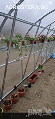 Оранжерия , снимка 2 - Оранжерии - 53941725