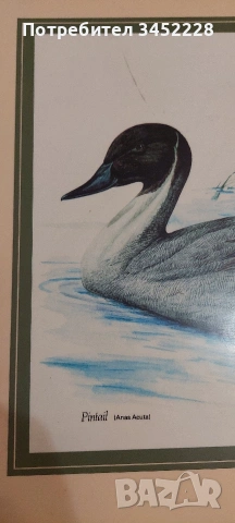 Декорация коркова плоскост 40см 30см за ценители , снимка 3 - Декорация за дома - 54174999