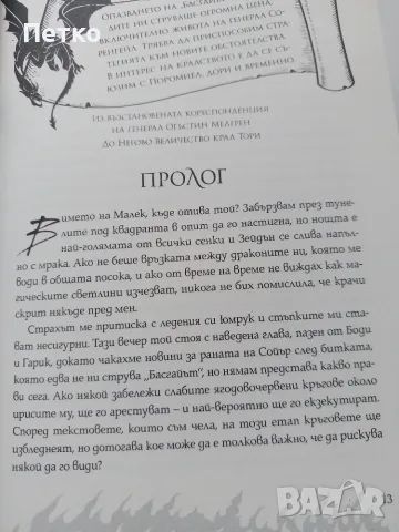 Книга Буря от Оникс от Ребека Ярос , снимка 5 - Художествена литература - 56188591