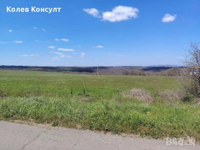 ЗЕМЕДЕЛСКА ЗЕМЯ (Нива) в с. Лозенец