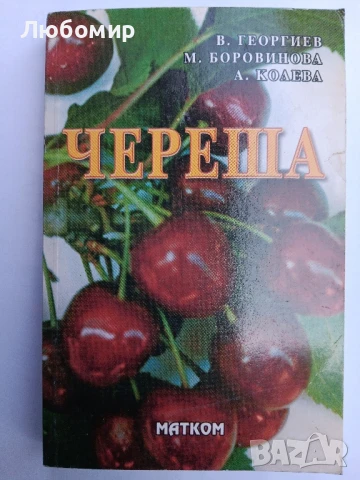 Череша , снимка 1