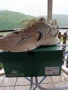 Маратонки Lacoste 44 номер , снимка 7