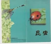 Чисти марки Насекоми в картнетка 1992 от Китай, снимка 3