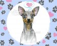Картичка "Пинчер" / куче, животни, любов, сърце, снимка 5