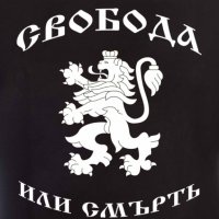 Нов мъжки национален суичър с дигитален печат Свобода или Смърт, България, снимка 2 - Суичъри - 30928406