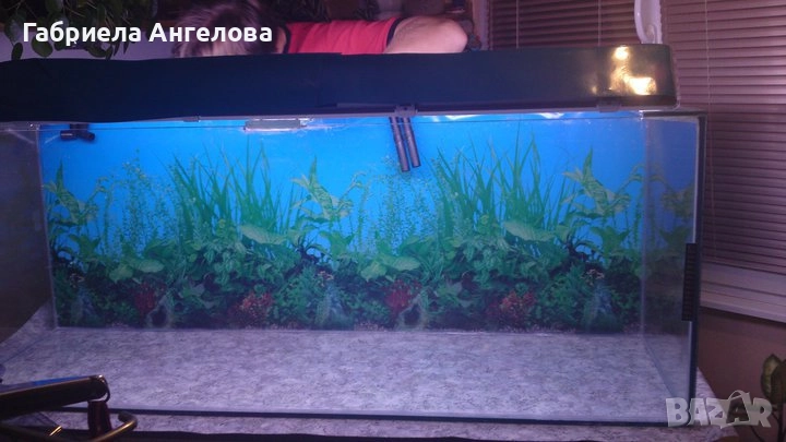 Продавам празен аквариум БЕЗ ТЕЧОВЕ в перфектно състояние, снимка 1