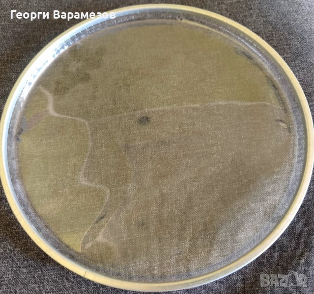 Кожи 10 инча, снимка 1