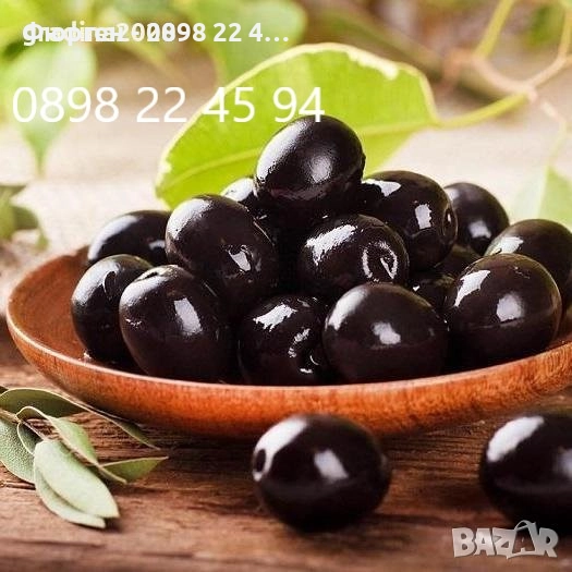 Маслина- 3 сорта , снимка 1