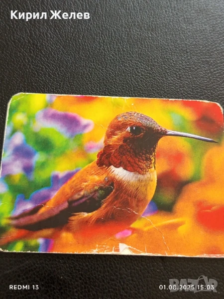 Старо календарче 07г. серия ПТИЦИ за КОЛЕКЦИЯ ДЕКОРАЦИЯ 36948, снимка 1