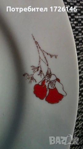 Порцеланова чиния на Разград , снимка 4 - Чинии - 54352341