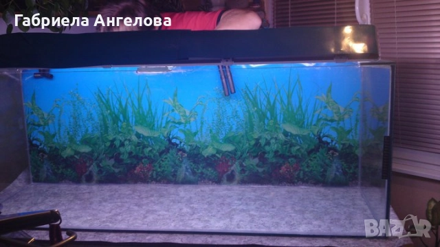 Продавам празен аквариум БЕЗ ТЕЧОВЕ в перфектно състояние