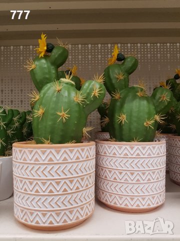 декоративни кактуси, снимка 3 - Изкуствени цветя - 44193391