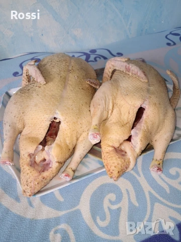 ЗРЯЛО КОЗЕ СИРЕНЕ;птиче месо/ домашно, снимка 11 - Домашни продукти - 46237896