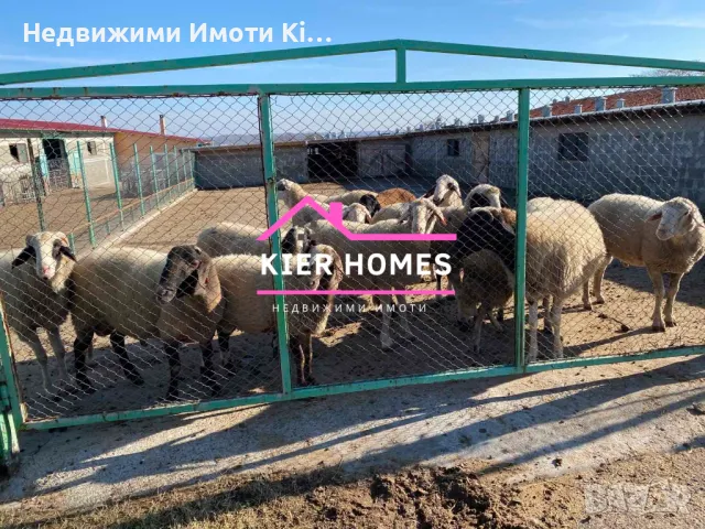 Продавам овцеферма в село Голямо Асеново , област Хасково, снимка 4 - Земеделска земя - 48113118