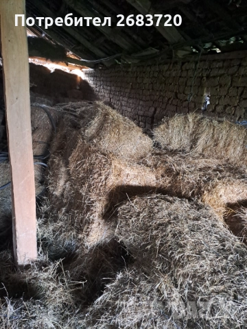 Бали  сено 5 лв бр.