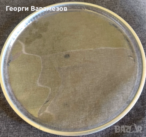 Кожи 10 инча