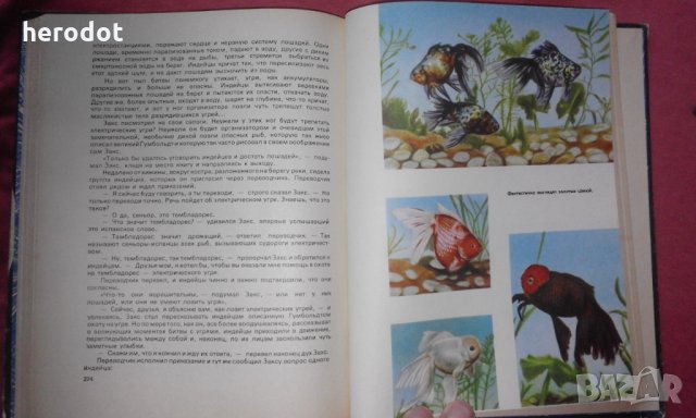 Занимательный аквариум - М. Махлин, снимка 2 - Художествена литература - 31539507