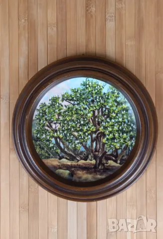 Рамки за чинии, за окачване на стена, снимка 3 - Други - 49653378