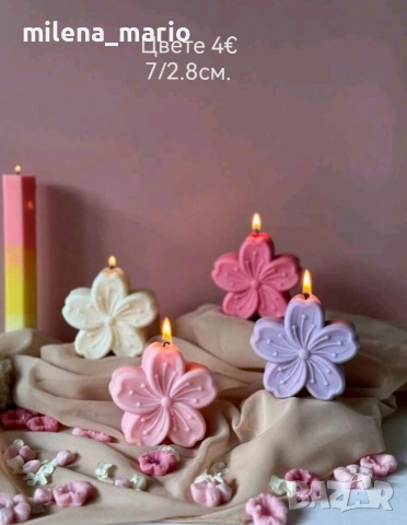 Нови молдове 3, снимка 8 - Други - 54113042