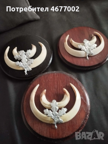 Глиги от диво прасе