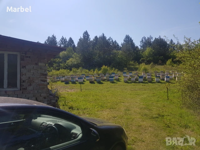 Продавам Пчелин, снимка 3 - Парцели - 50563423