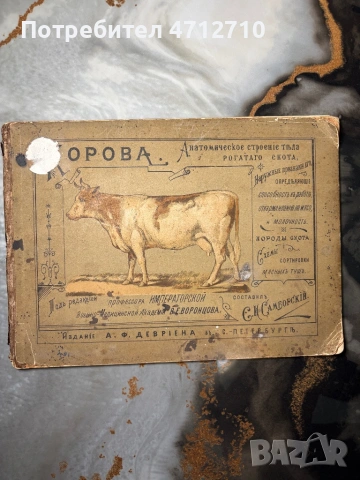 Антикварна руска книга „Корова“ – анатомия на едър рогат добитък (1897 г.), снимка 2 - Антикварни и старинни предмети - 54161446
