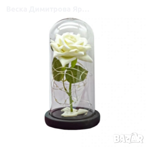 Бяла роза под стъклен купол - Вечна елегантност