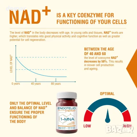 Ендотелио клетъчна 1-MNA, оптимизиране на NAD+, анти стареене с CoQ10, магнезий и В комплекс, снимка 3 - Хранителни добавки - 47650307