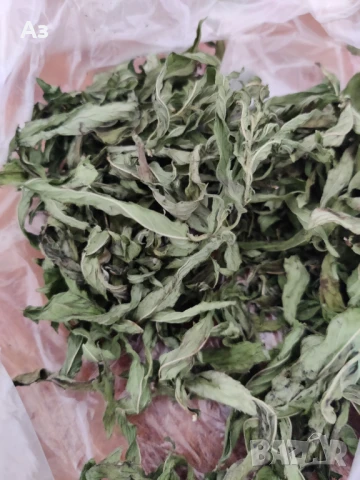 Продавам Сух джоджен (на листа или наронен), реколта 2025г., снимка 6 - Градински цветя и растения - 50670748