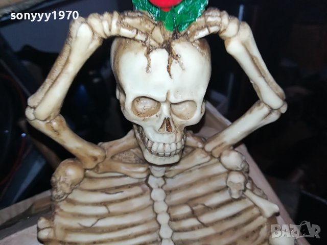 ЧЕРЕП/КОКАЛИ-ПЕПЕЛНИК 1303231008, снимка 5 - Колекции - 39979582