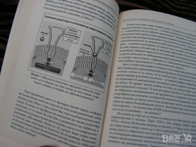 Краят на Алцхаймер – книга, снимка 10 - Специализирана литература - 51682637
