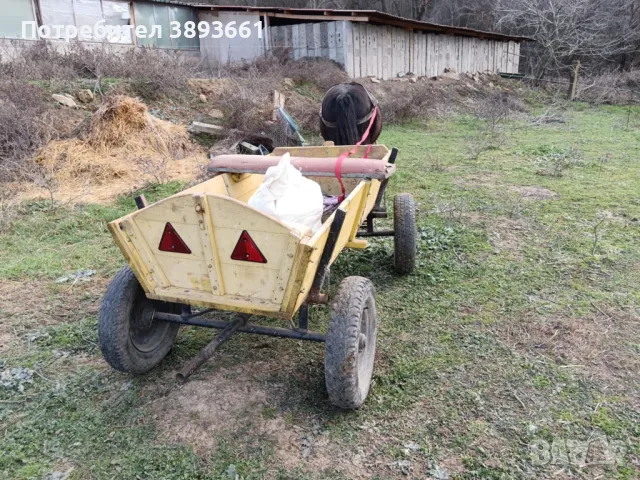 Продавам кон с каруца, снимка 2 - Коне - 49037823