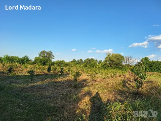 Косене на трева с тример за Кюстендил , снимка 5 - Други почистващи услуги - 49554416