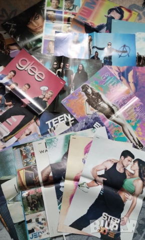 ЛОТ 40 плакати за 3 евро всички