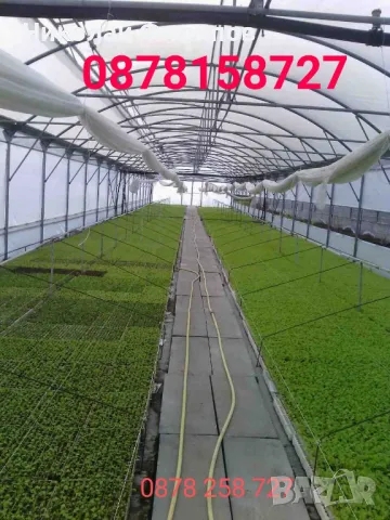 Продавам разсад за Пипер,Домати,Краставици и др., снимка 1
