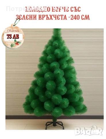 Коледно борче 240 см