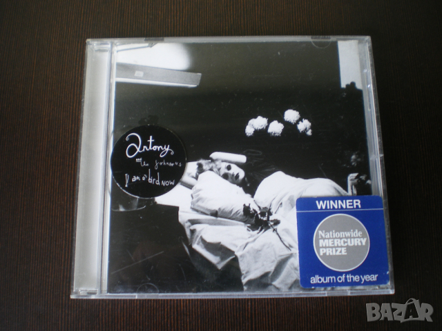 Antony And The Johnsons ‎– I Am A Bird Now 2005 CD, Album, Deluxe Pressing, снимка 1