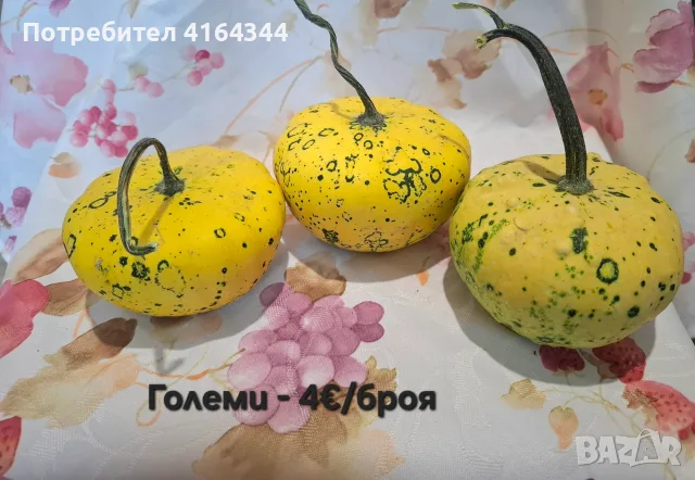 Естествени декоративни тикви, снимка 5 - Декорация за дома - 55722322