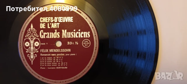 Стари плочи, класика, снимка 7 - Грамофонни плочи - 50854868