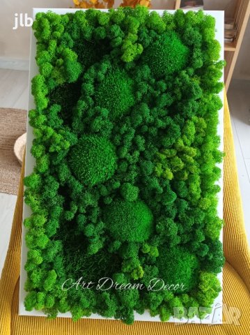 Живи картини и декорации от стабилизиран Скандинавски мъх, снимка 2 - Декорация за дома - 44164853
