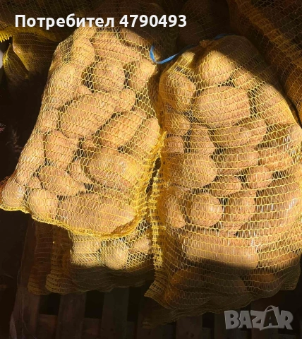 Картофи гр.Смолян Сорая, снимка 2 - Домашни продукти - 54126968