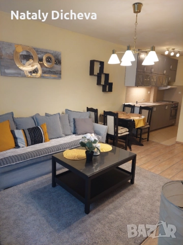 Двустаен апартамент, Левски, Вива