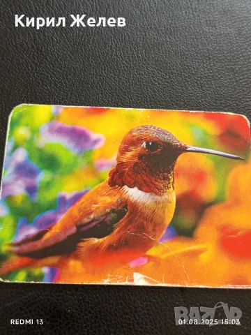 Старо календарче 07г. серия ПТИЦИ за КОЛЕКЦИЯ ДЕКОРАЦИЯ 36948