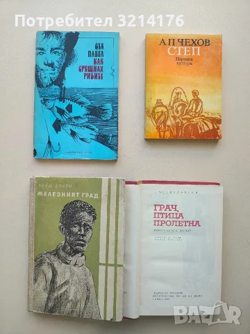 Железният град - Лойд Браун 