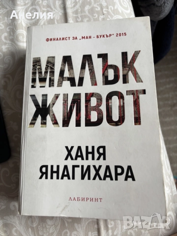 Малък живот, Лабиринт, 2018