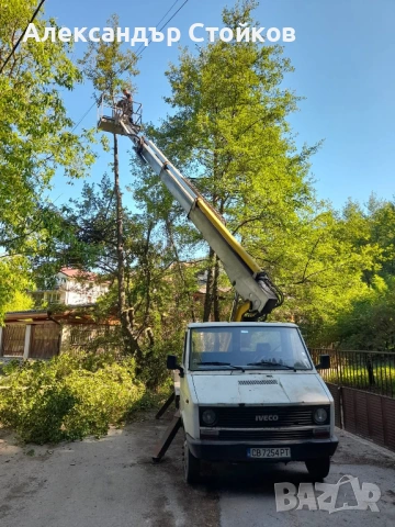 Рязане и кастрене на дървета с автовишка, снимка 10 - Други услуги - 54006380