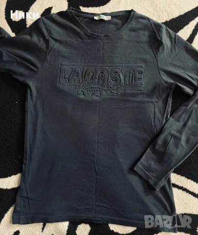 Lacoste- мъжка блуза