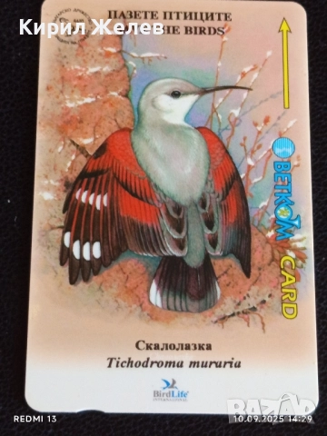 Три фонокарти БЕТКОМ тема ЖИВОТНИ БУХАЛ,СОВА,СКАЛОАЗКА за КОЛЕКЦИЯ 48623, снимка 3 - Колекции - 51666505