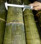 Семена от гигантски бамбук Moso Bambo градински сертифицирани декоративни растения за дома и двора б, снимка 8