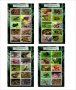 Чисти блокове Фауна Отровни Жаби 2020 от Тонго, снимка 1